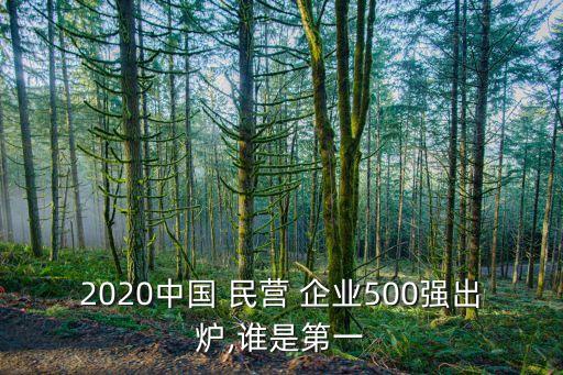 2020中國 民營 企業(yè)500強出爐,誰是第一