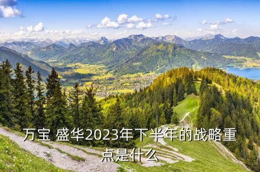 萬寶 盛華2023年下半年的戰(zhàn)略重點(diǎn)是什么