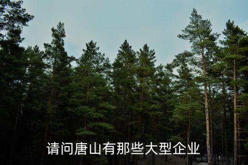 河北有哪些上市公司