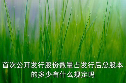 公司上市的股數(shù)是怎么規(guī)定的