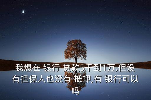 我想在 銀行 貸款5千到1萬,但沒有擔保人也沒有 抵押,有 銀行可以嗎