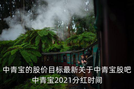 中青寶的股價目標最新關于中青寶股吧中青寶2021分紅時間