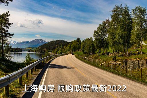  上海購(gòu)房 限購(gòu)政策最新2022