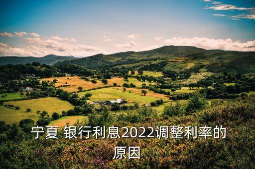  寧夏 銀行利息2022調(diào)整利率的原因