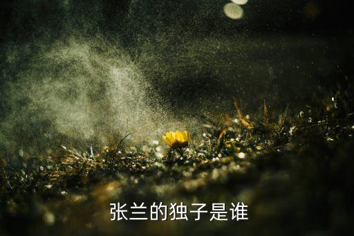 俏江南集團(tuán)張?zhí)m微博,張?zhí)m的俏江南怎么沒(méi)有的