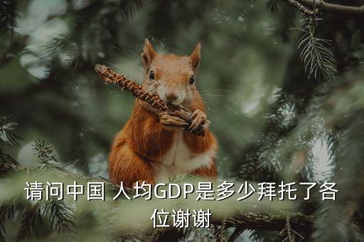 請(qǐng)問(wèn)中國(guó) 人均GDP是多少拜托了各位謝謝