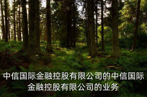 中信國際金融控股有限公司的中信國際金融控股有限公司的業(yè)務