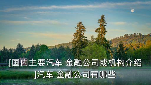 [國(guó)內(nèi)主要汽車 金融公司或機(jī)構(gòu)介紹]汽車 金融公司有哪些