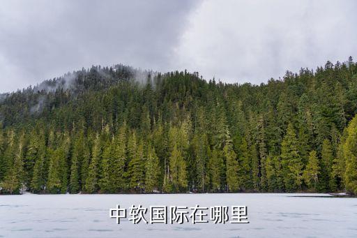 上海華騰和中軟,中軟華騰和中軟國(guó)際的區(qū)別