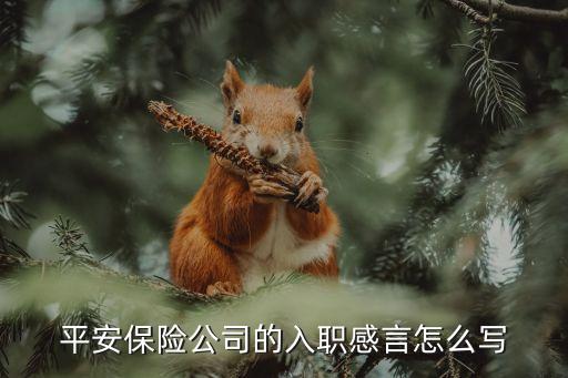 平安保險(xiǎn)公司的入職感言怎么寫