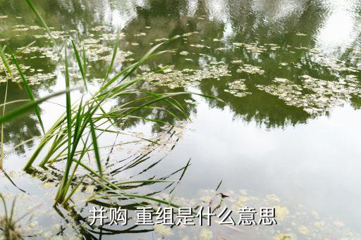  并購(gòu) 重組是什么意思