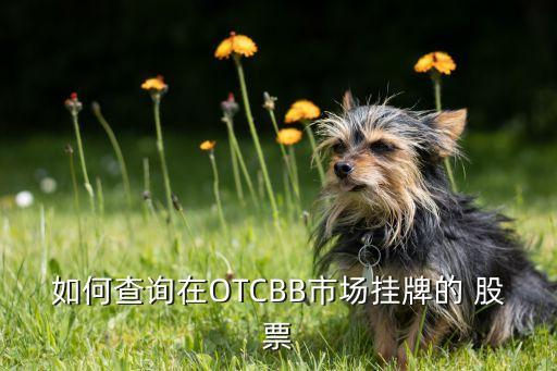 如何查詢在OTCBB市場掛牌的 股票