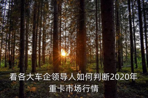 看各大車企領(lǐng)導(dǎo)人如何判斷2020年重卡市場行情