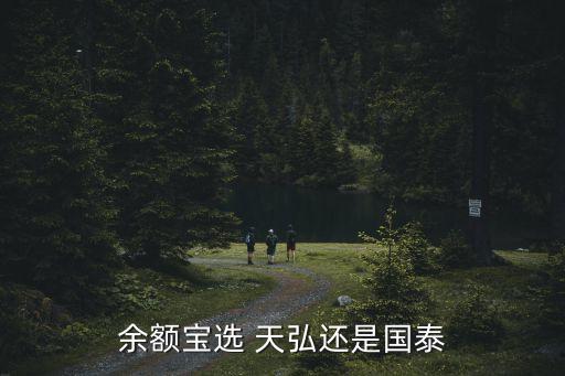 余額寶選 天弘還是國泰