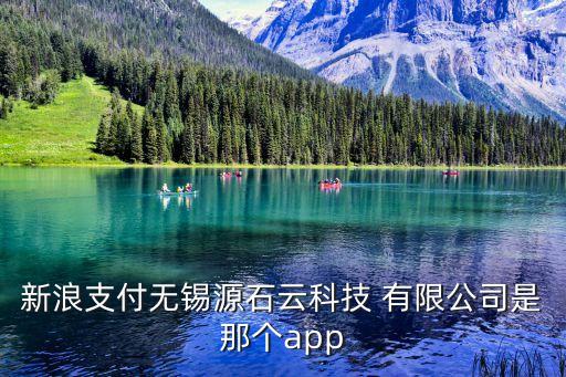 新浪支付無錫源石云科技 有限公司是那個(gè)app