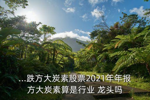 ...跌方大炭素股票2021年年報(bào)方大炭素算是行業(yè) 龍頭嗎