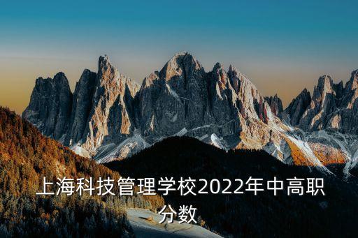  上?？萍脊芾韺W(xué)校2022年中高職分?jǐn)?shù)