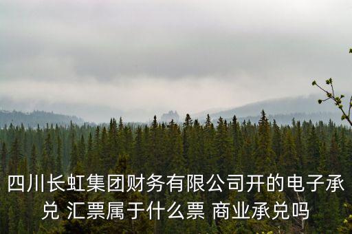 四川長虹集團(tuán)財(cái)務(wù)有限公司開的電子承兌 匯票屬于什么票 商業(yè)承兌嗎