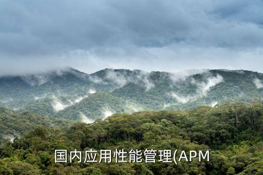 國內應用性能管理(APM