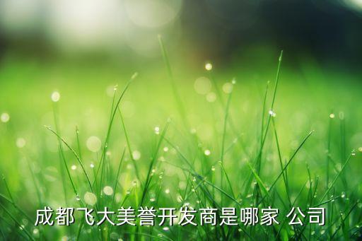 成都飛大美譽(yù)開發(fā)商是哪家 公司