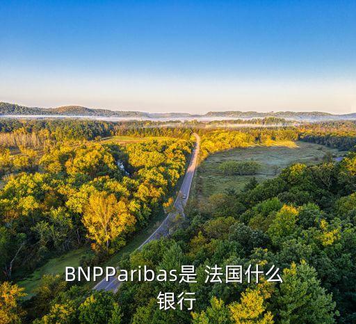 BNPParibas是 法國什么 銀行