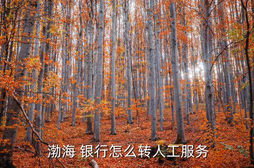  渤海 銀行怎么轉(zhuǎn)人工服務(wù)