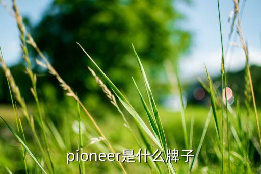 pioneer是什么牌子