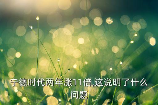 寧德時代兩年漲11倍,這說明了什么問題