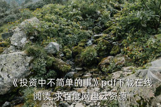 《投資中不簡單的事》pdf下載在線閱讀,求百度網(wǎng)盤云資源