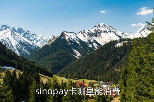  sinopay卡哪里能消費