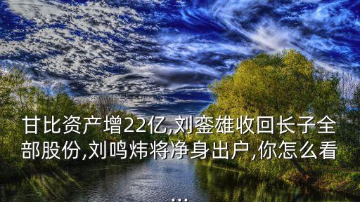 甘比資產(chǎn)增22億,劉鑾雄收回長(zhǎng)子全部股份,劉鳴煒將凈身出戶,你怎么看...