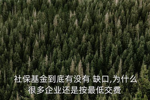  社?；鸬降子袥](méi)有 缺口,為什么很多企業(yè)還是按最低交費(fèi)