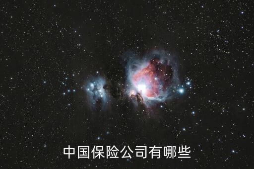 中國保險公司有哪些