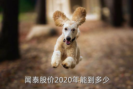  聞泰股價2020年能到多少