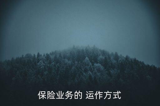 保險業(yè)務的 運作方式