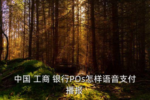 中國(guó) 工商 銀行POs怎樣語音支付播報(bào)