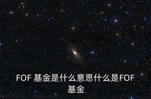 FOF 基金是什么意思什么是FOF 基金