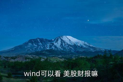 wind可以看 美股財(cái)報(bào)嘛