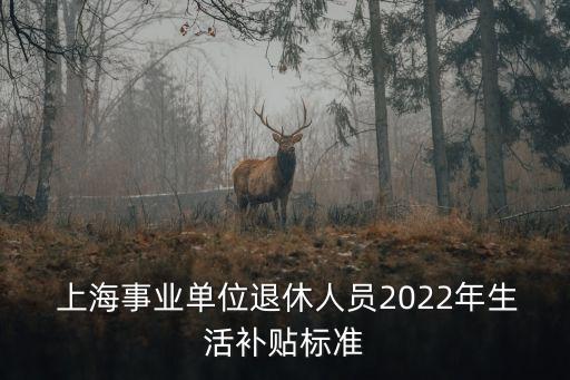  上海事業(yè)單位退休人員2022年生活補(bǔ)貼標(biāo)準(zhǔn)