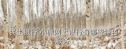  民生銀行 小微網(wǎng)上銀行有哪些特色服務(wù)