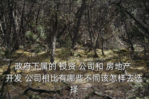 政府下屬的 投資 公司和 房地產(chǎn) 開發(fā) 公司相比有哪些不同該怎樣去選擇