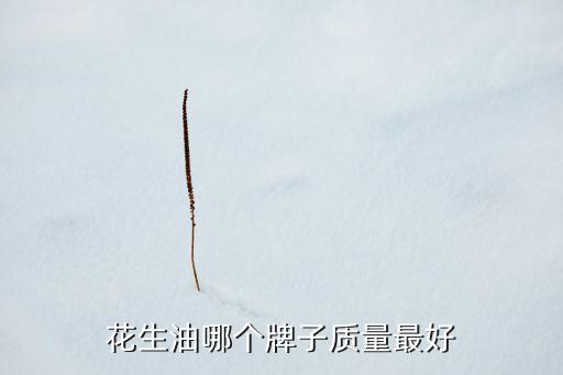 花生油哪個(gè)牌子質(zhì)量最好