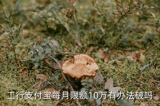 工行支付寶每月限額10萬有辦法破嗎