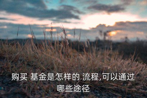 購(gòu)買(mǎi) 基金是怎樣的 流程,可以通過(guò)哪些途徑