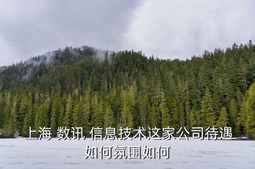 上海數(shù)訊信息技術有限公,海南數(shù)訊信息技術有限公司怎么樣