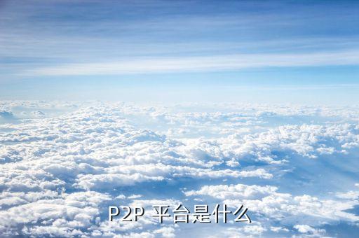 P2P 平臺是什么