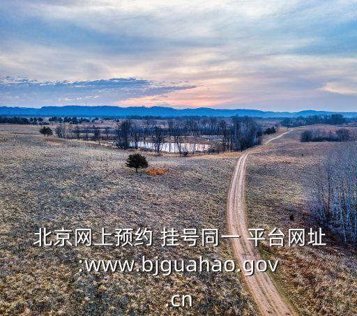  北京網(wǎng)上預約 掛號同一 平臺網(wǎng)址:www.bjguahao.gov.cn