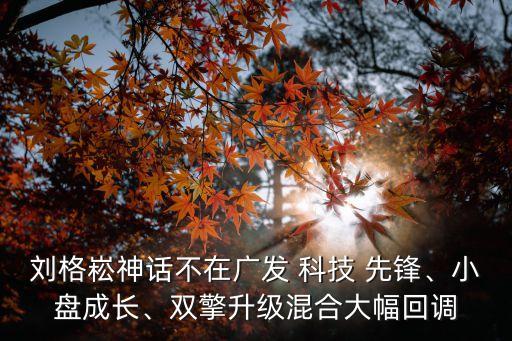 劉格崧神話不在廣發(fā) 科技 先鋒、小盤成長(zhǎng)、雙擎升級(jí)混合大幅回調(diào)