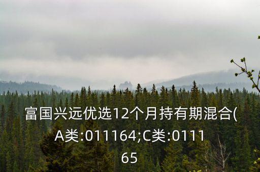  富國(guó)興遠(yuǎn)優(yōu)選12個(gè)月持有期混合(A類(lèi):011164;C類(lèi):011165