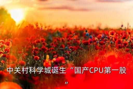 中關(guān)村科學(xué)城誕生“國產(chǎn)CPU第一股”